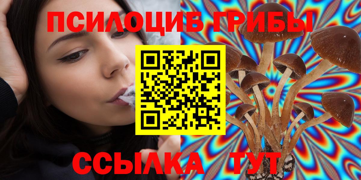 Спасск-Дальний  Галлюциногенные грибы Psilocybine cubensis  Вход с VPN 