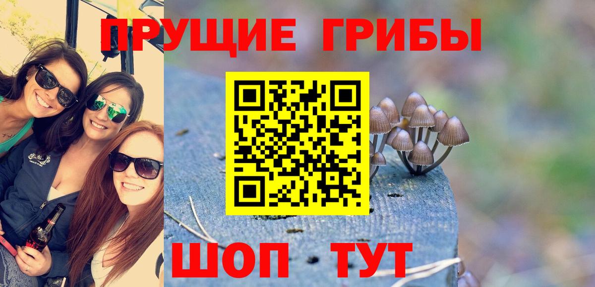 Спасск-Дальний  Альфа ПВП СК кристаллы  Меф   NBOMe  Вход с VPN  Марихуана  Марихуана 
